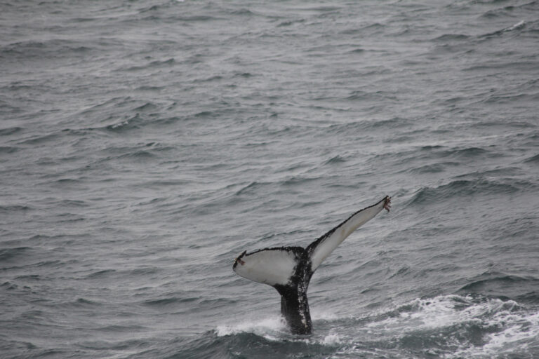 20251013-0900-Andrea-Patrick (7)